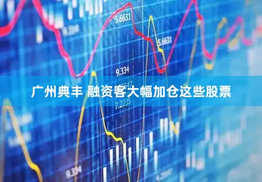 广州典丰 融资客大幅加仓这些股票