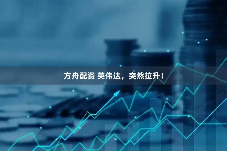 方舟配资 英伟达，突然拉升！